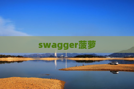 swagger菠萝